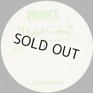 画像: Prince / Digital Garden (Adam Goldstone Remix)