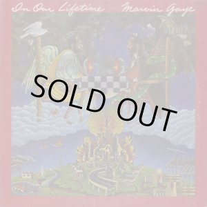 画像: Marvin Gaye / In Our Lifetime