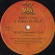 画像3: MAW / A Tribute To Fela (3)