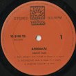 画像3: Demon Fuzz / Afreaka! (3)