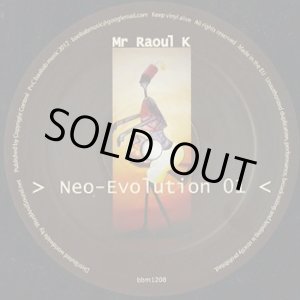 画像: Mr Raoul K / Neo-Evolution 01