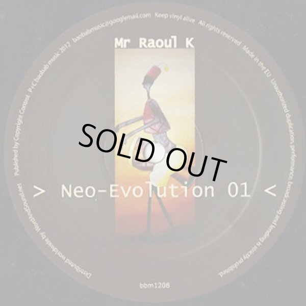 画像1: Mr Raoul K / Neo-Evolution 01 (1)