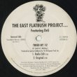 画像1: The East Flatbush Project / Tried By 12 (1)