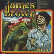 画像2: James Brown / Hell (2)