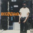 画像1: Big Noyd ‎/ Episodes Of A Hustla (LP) (1)