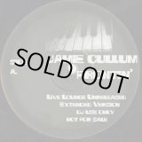画像: Jamie Cullum / Zero 7 Vs Mos Def – Frontin' (Live Lounge Unreleased Extended Version) / Umi Says (Unreleased Promo) (12inch)