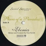 画像: Theo Parrish / Pieces Of A Paradox (12inch)