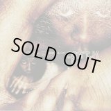 画像: Agent K / Feed The Cat (2LP)