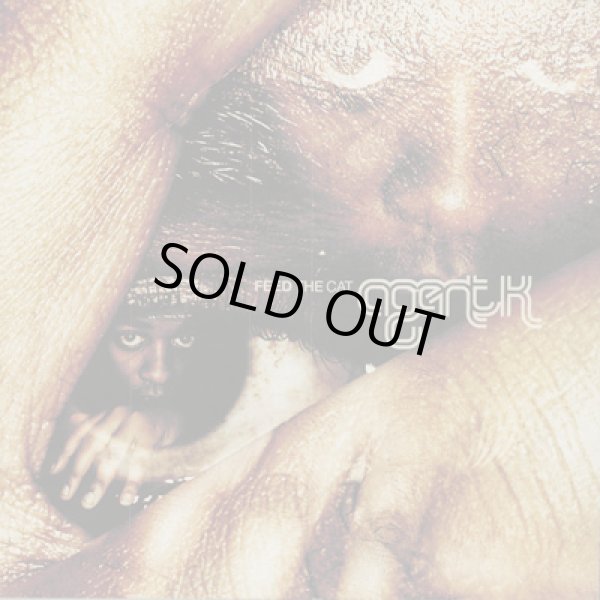 画像1: Agent K / Feed The Cat (2LP) (1)