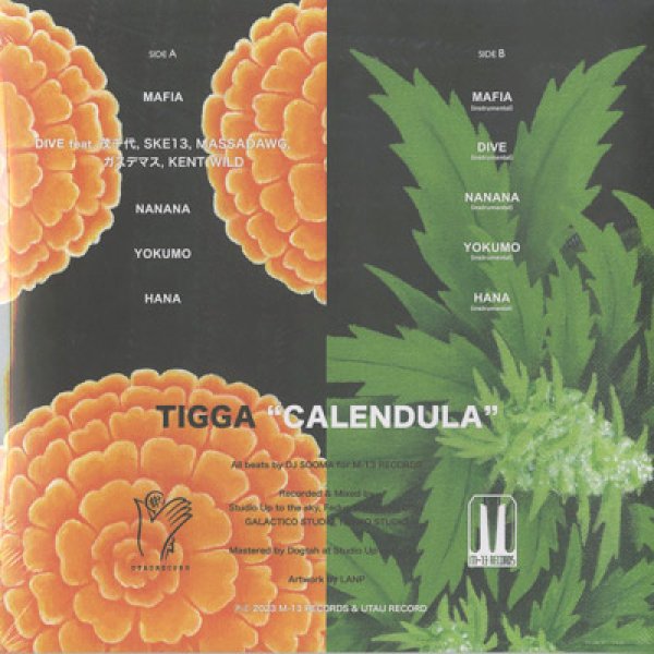 画像2: Tigga / CALENDULA (LP) (2)