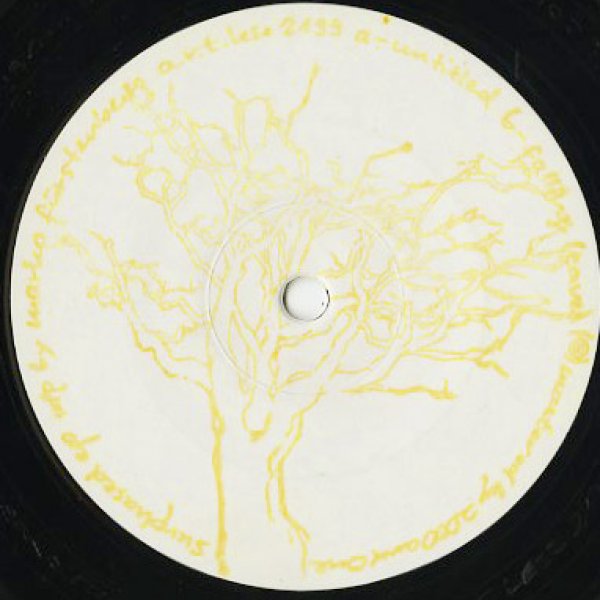 画像1: Marko Furstenberg / Surphased EP (12inch) (1)