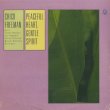 画像1: Chico Freeman / Peaceful Heart, Gentle Spirit (LP) (1)